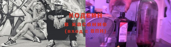 дурь Алексин