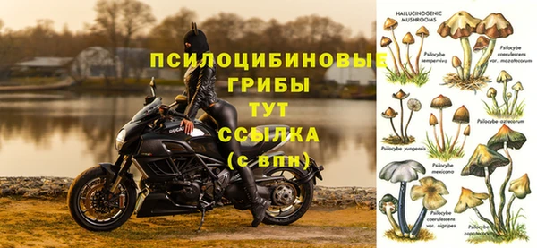 СК Алзамай