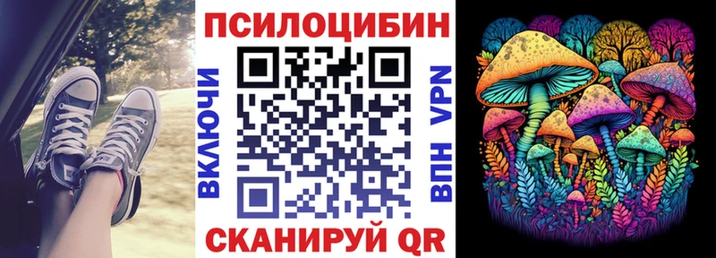 Псилоцибиновые грибы Cubensis Невьянск